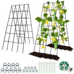 RIFNY front view arched trellis showing sturdy frame and easy vertical support