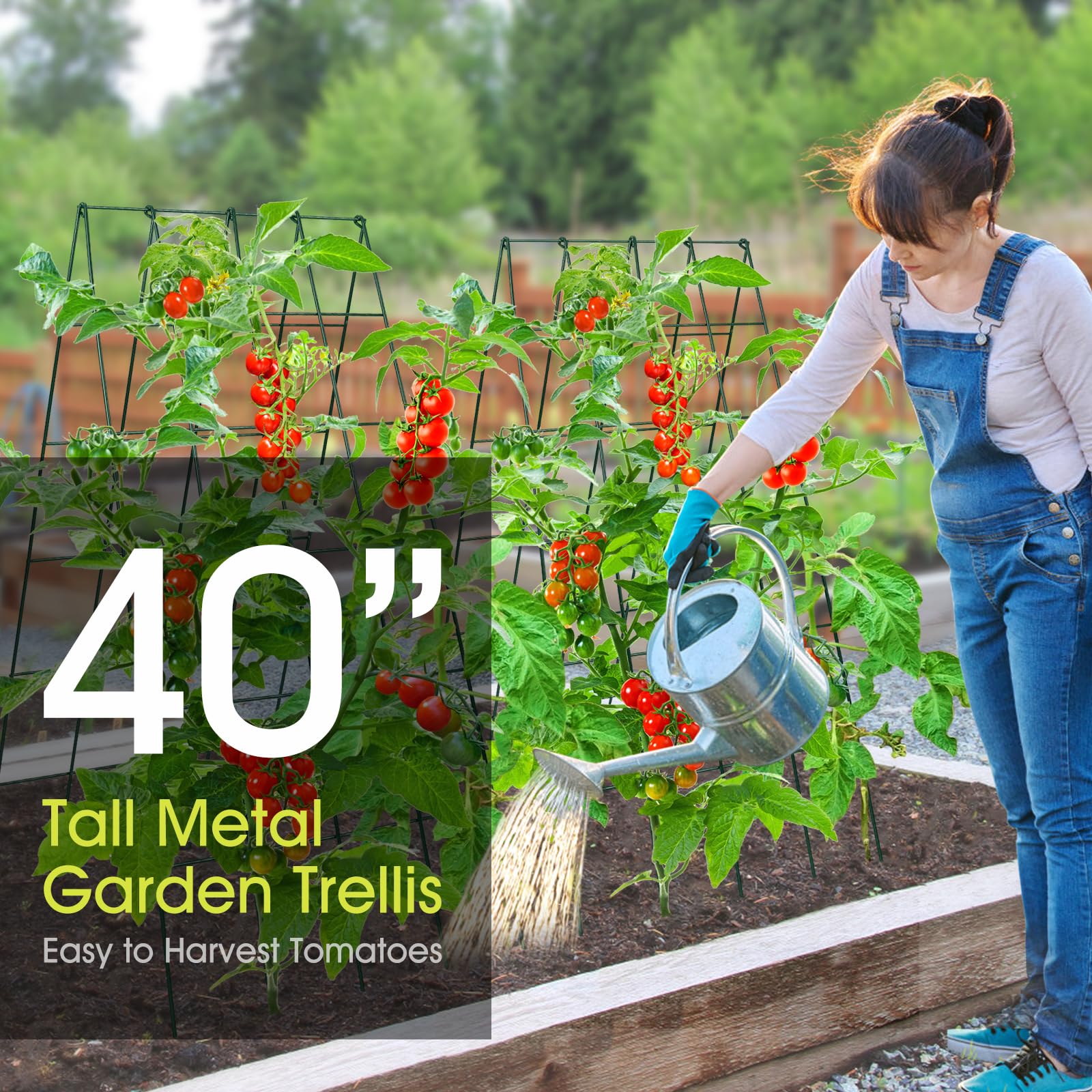 RIFNY trellis installed in raised bed showing scale and space-saving vertical growth
