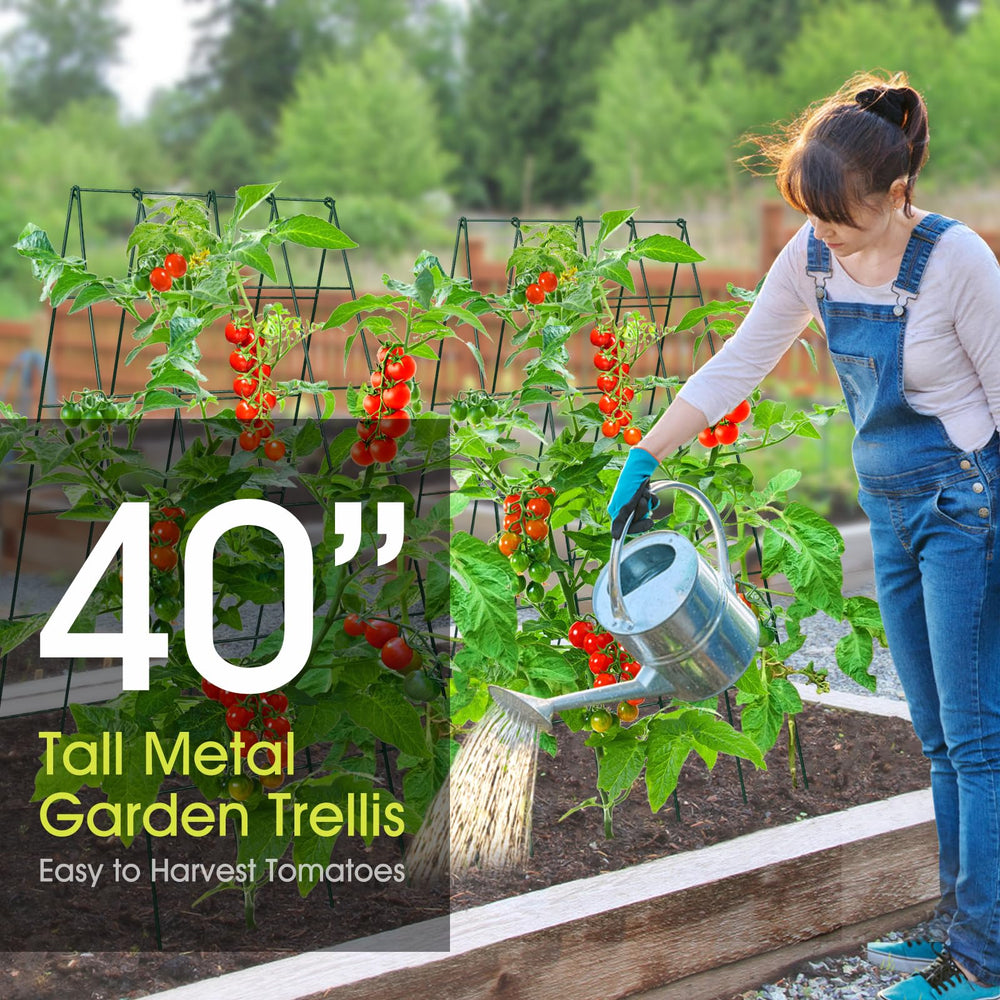 RIFNY trellis installed in raised bed showing scale and space-saving vertical growth