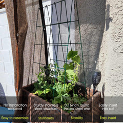 RIFNY trellis iron frame close-up highlighting corrosion-resistant paint and strength