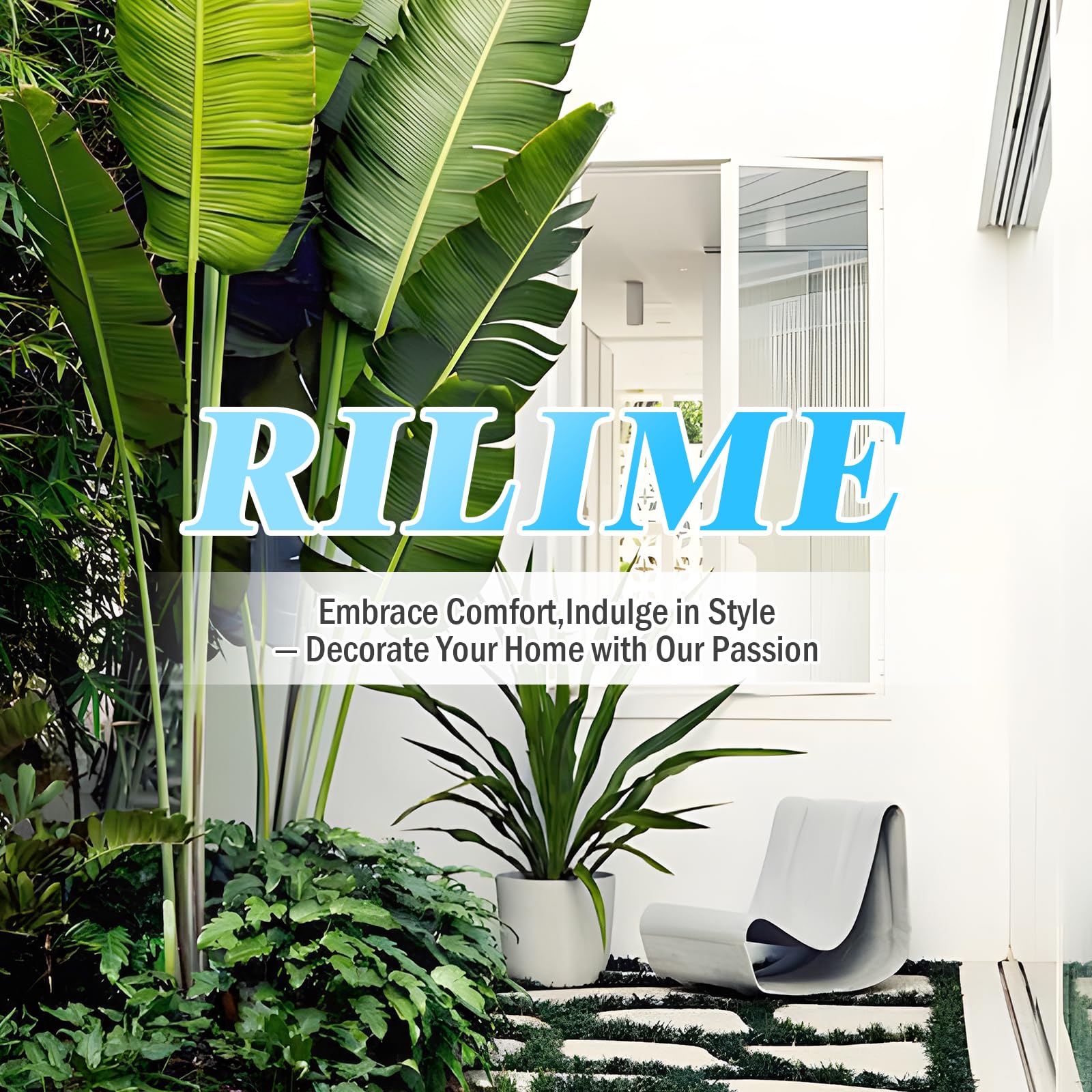 Rilime scale comparison showing chair dimensions for correct fit