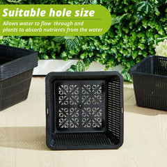 RimCereal flat-bottom basket resting on pond shelf offers stable placement advantage