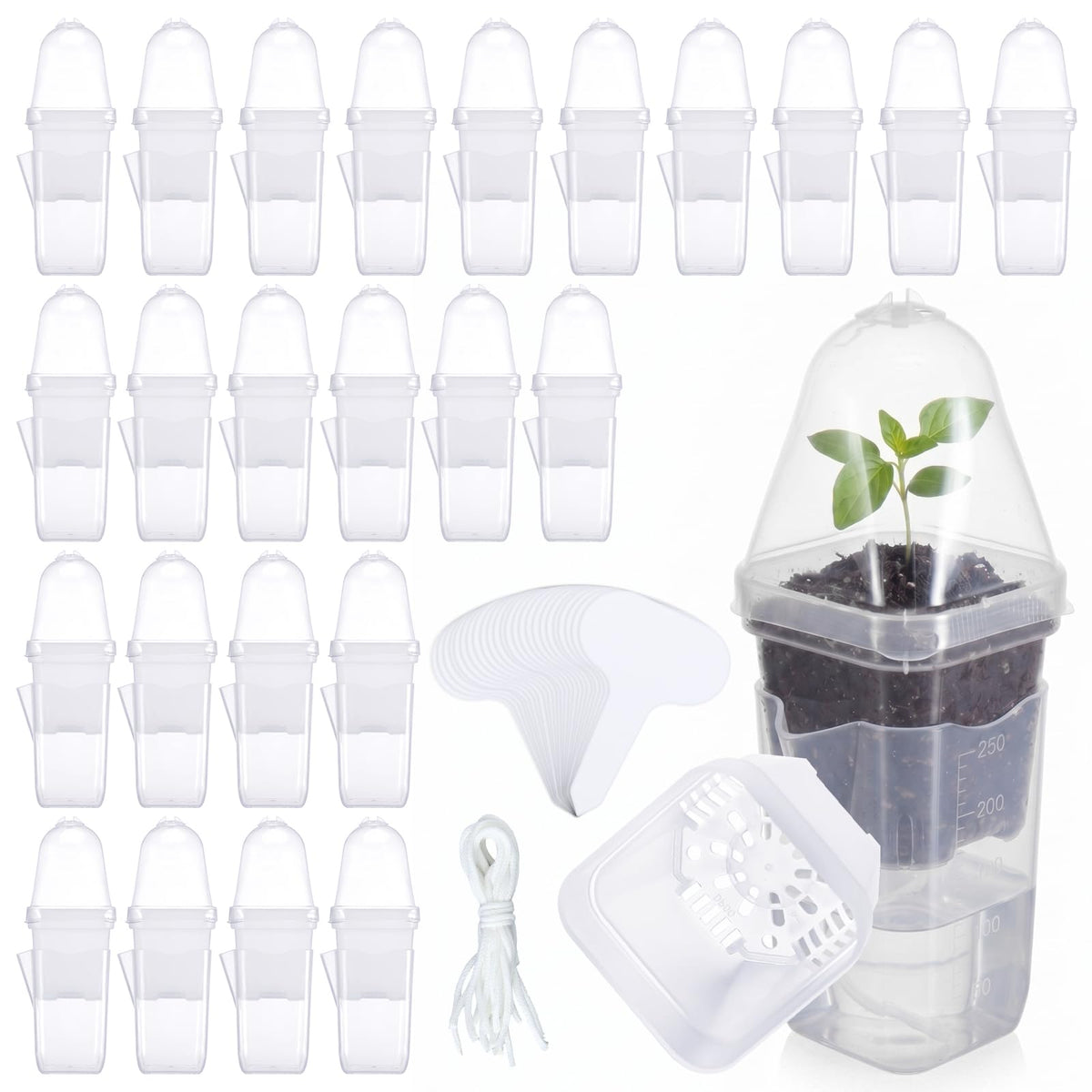 RimCereal clear pack of 24 small pots showing compact propagation benefits