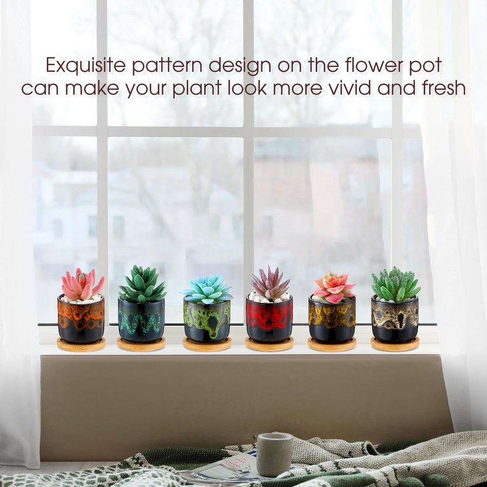 RimCereal group of pots on windowsill creating a colorful plant display
