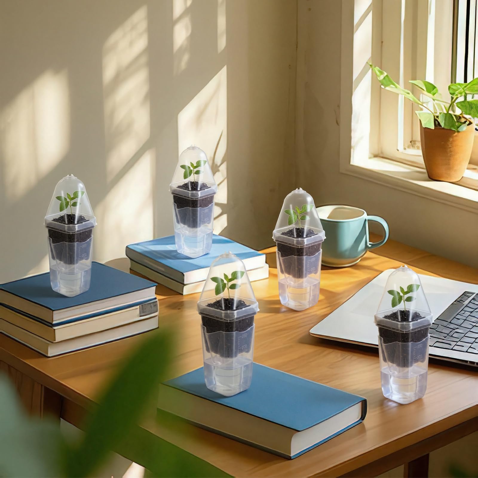RimCereal pots on a sunny windowsill, compact solution for home propagation