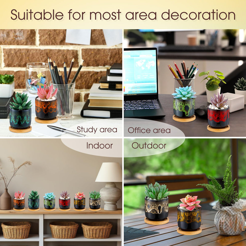 RimCereal pot with succulent planted, demonstrating decorative indoor use