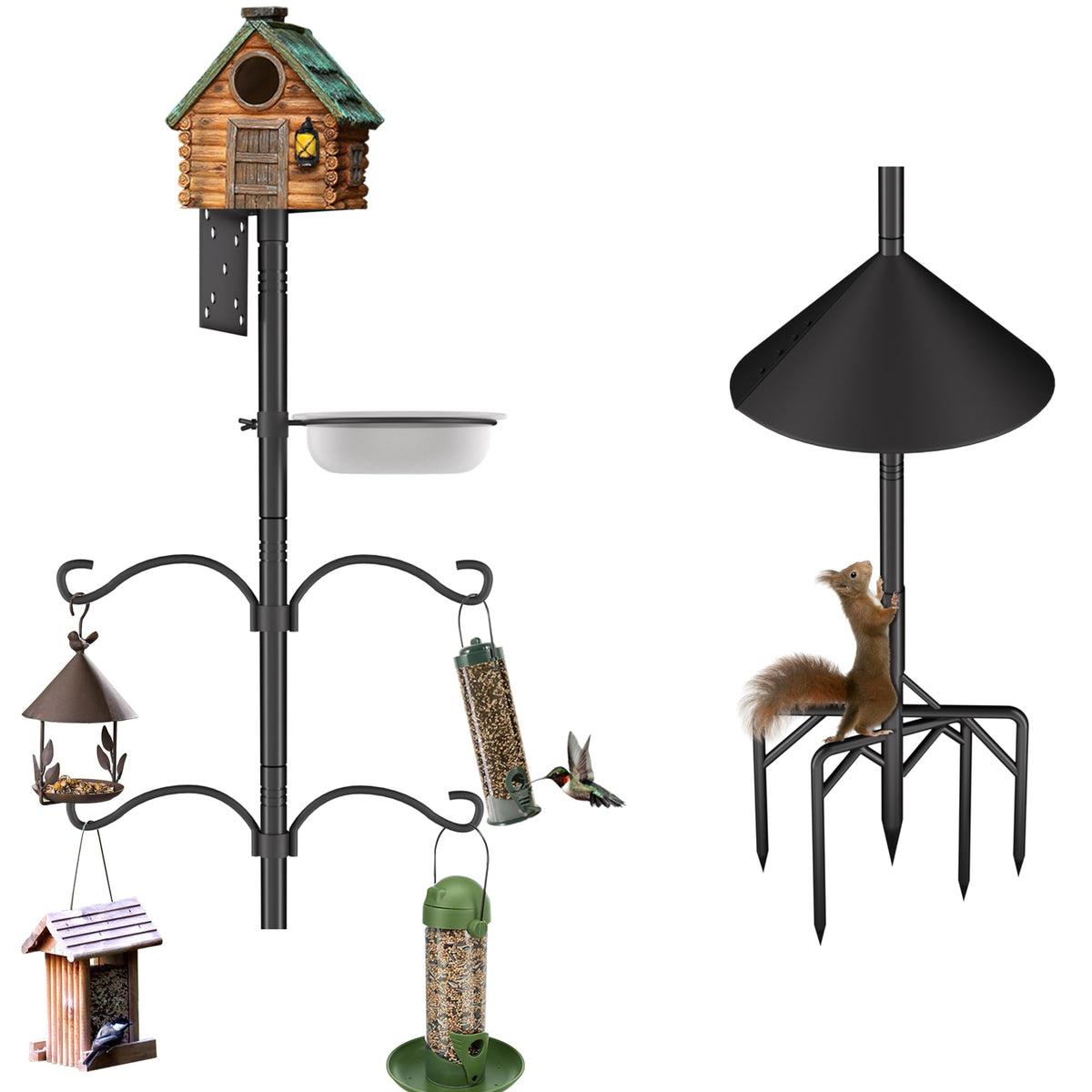 RINLAIN pole front view showing stable installation and clear birdwatching benefit