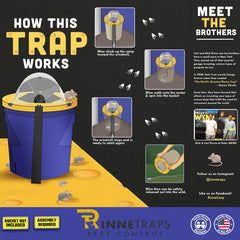 RinneTraps in-use in garage showing humane multi-catch benefit