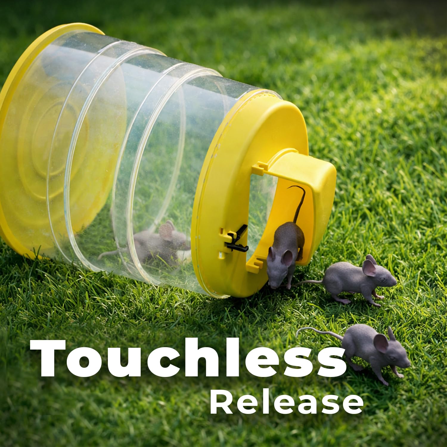 RinneTraps trap in use with collapsible bucket placed along wall for discreet, effective capture