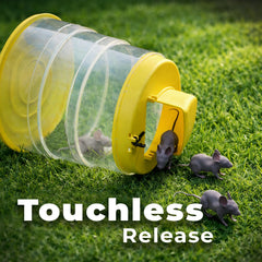 RinneTraps trap in use with collapsible bucket placed along wall for discreet, effective capture