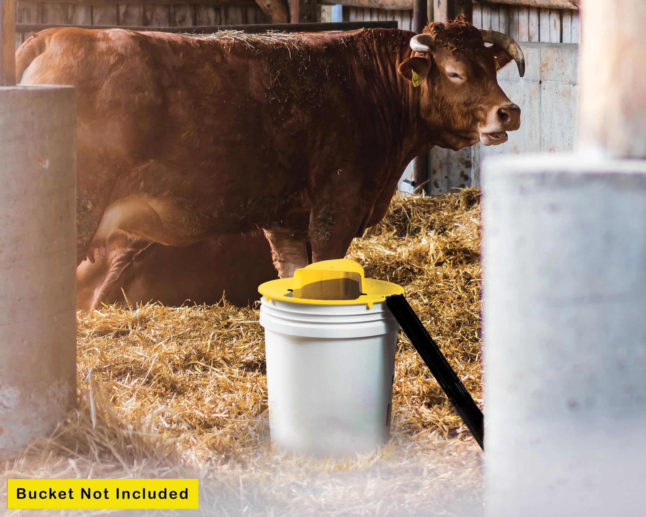 RinneTraps unit placed in a barn corner showing practical use in agricultural settings