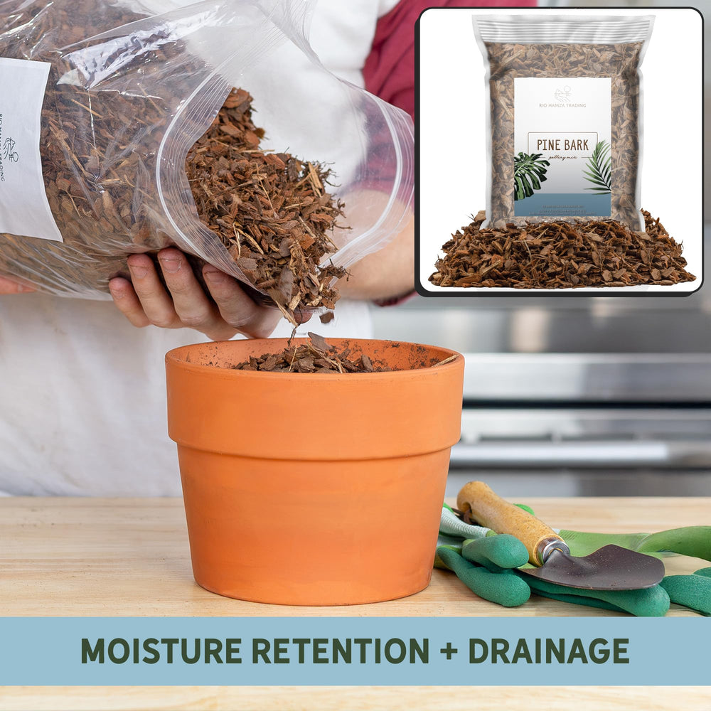 Rio Hamza Trading small bark nuggets spread to reduce evaporation