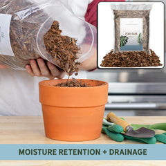Rio Hamza Trading small bark nuggets spread to reduce evaporation