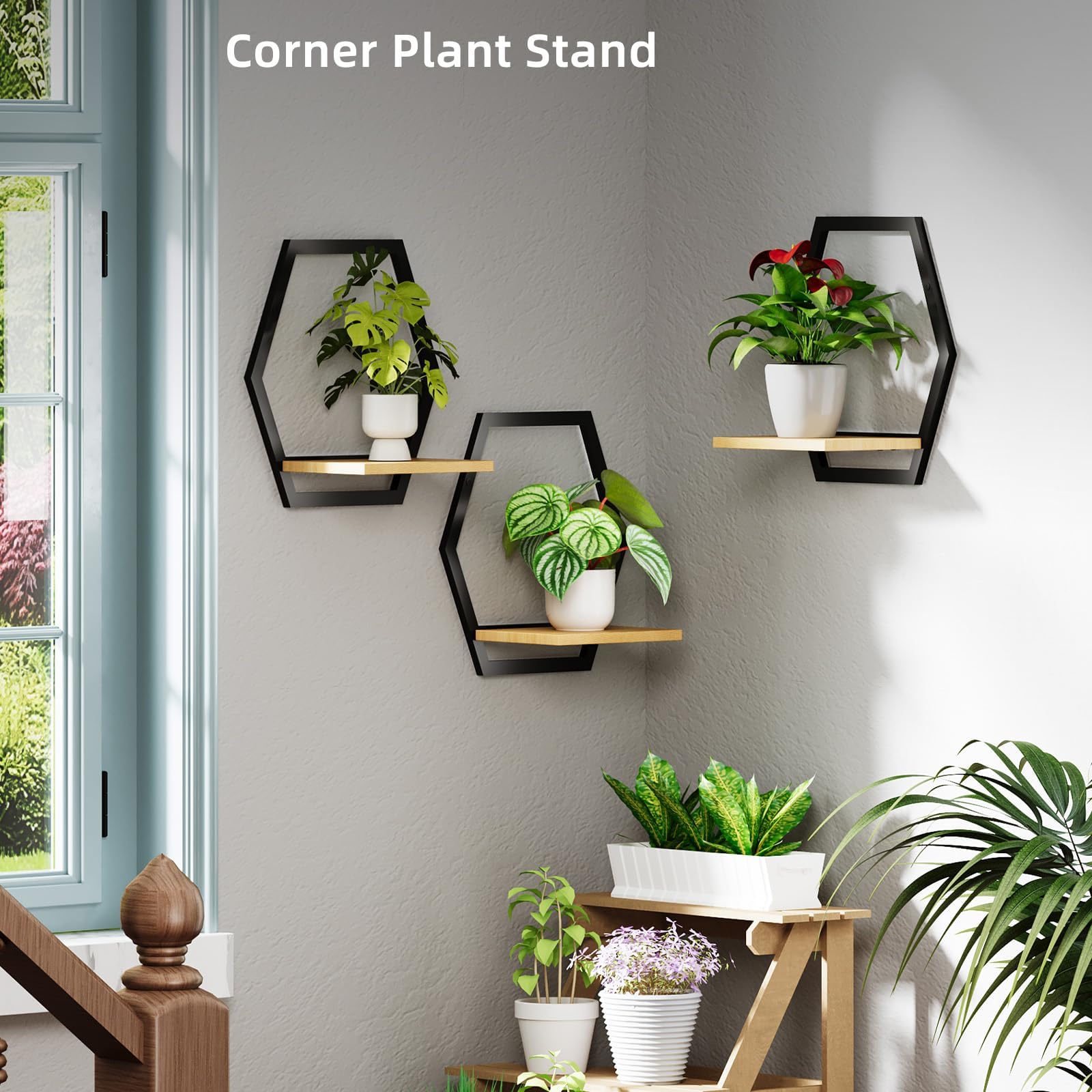 Rioneta shelf in bathroom with succulents emphasizing compact greenery benefit