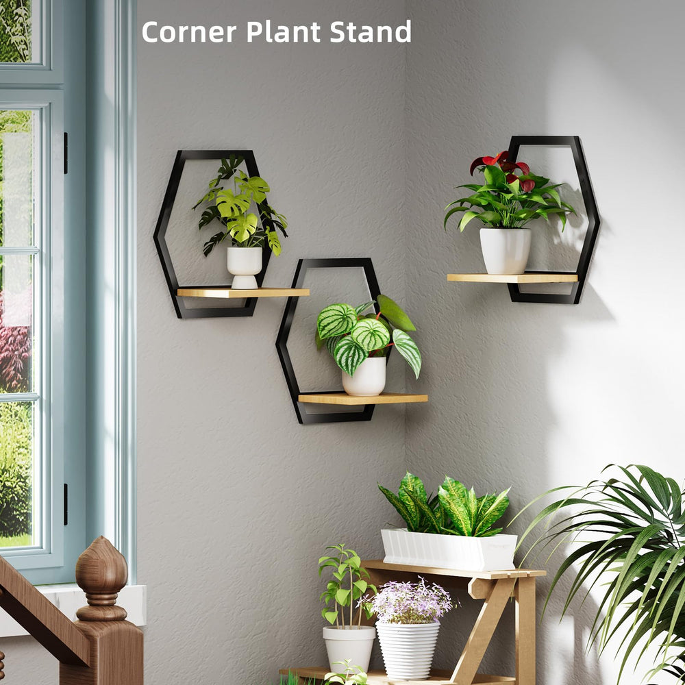 Rioneta shelf in bathroom with succulents emphasizing compact greenery benefit