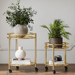 Rioneta front view two-tier golden plant stand showing elegant display and mobility