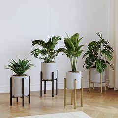 Rioneta gold stand side profile showing reversible height option and stable silhouette