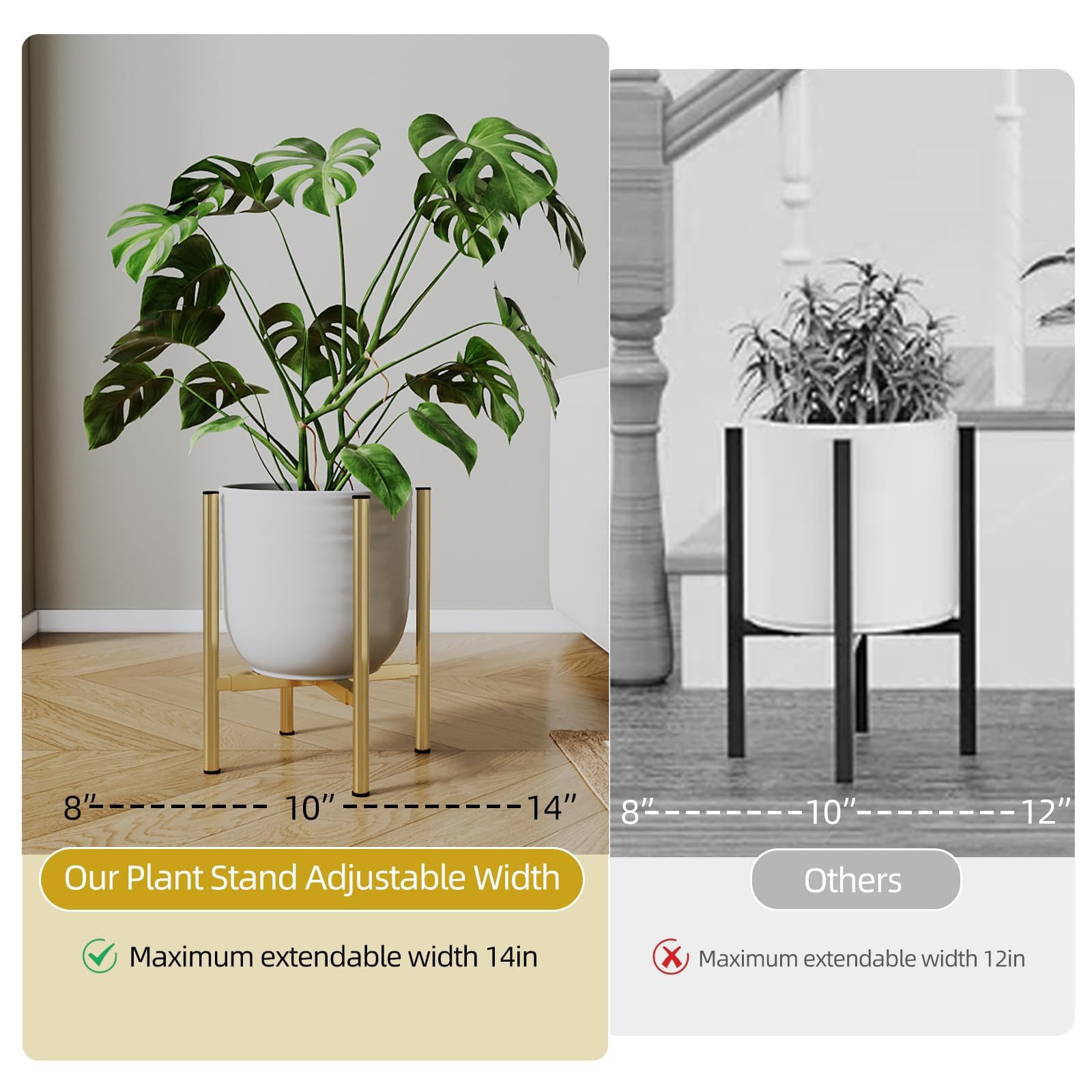 Rioneta gold stands displayed in low and high positions showing adjustable height benefit