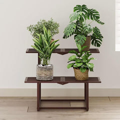 Rioneta front view showing two-tier coffee finish and organized plants benefit display