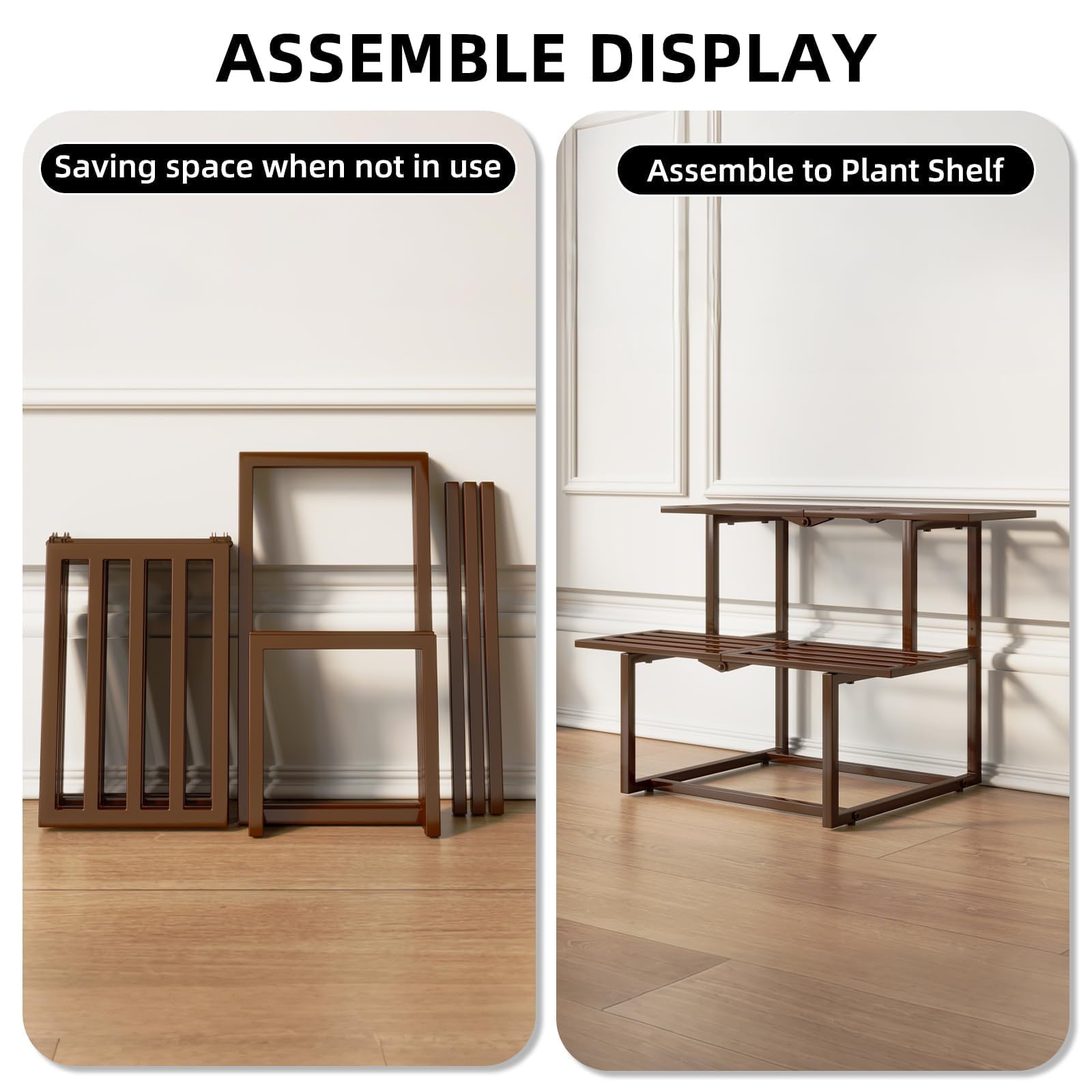 Rioneta styled in living room with plants benefit enhances interior décor