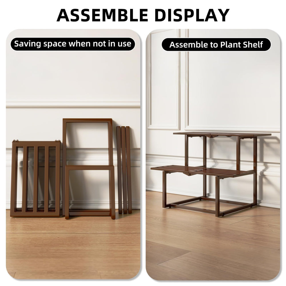Rioneta styled in living room with plants benefit enhances interior décor