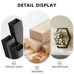 Rioneta shelf holding a potted plant demonstrating space-saving display