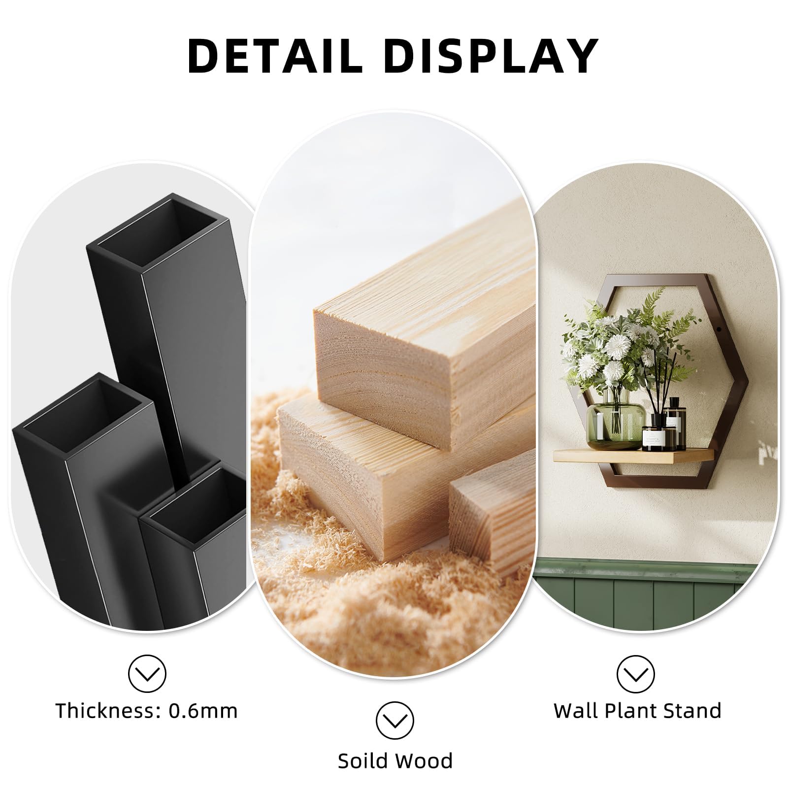 Rioneta shelves in living room adding vertical greenery and style