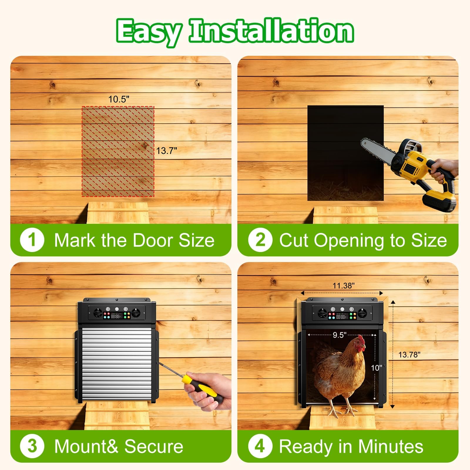 Ripom door next to chicken and ruler showing accurate size and scale