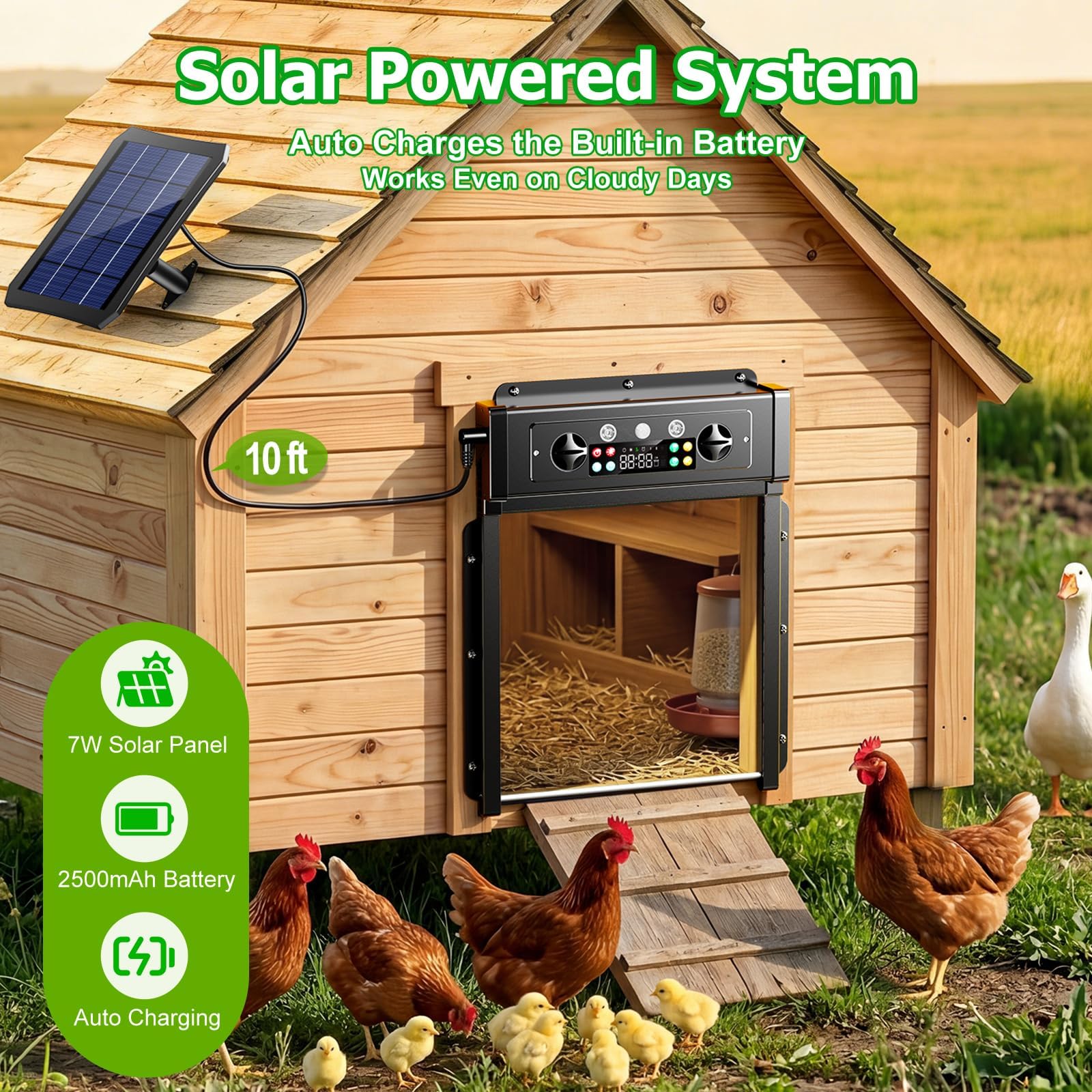 Ripom solar panel close-up highlighting sunlight charging for off-grid power