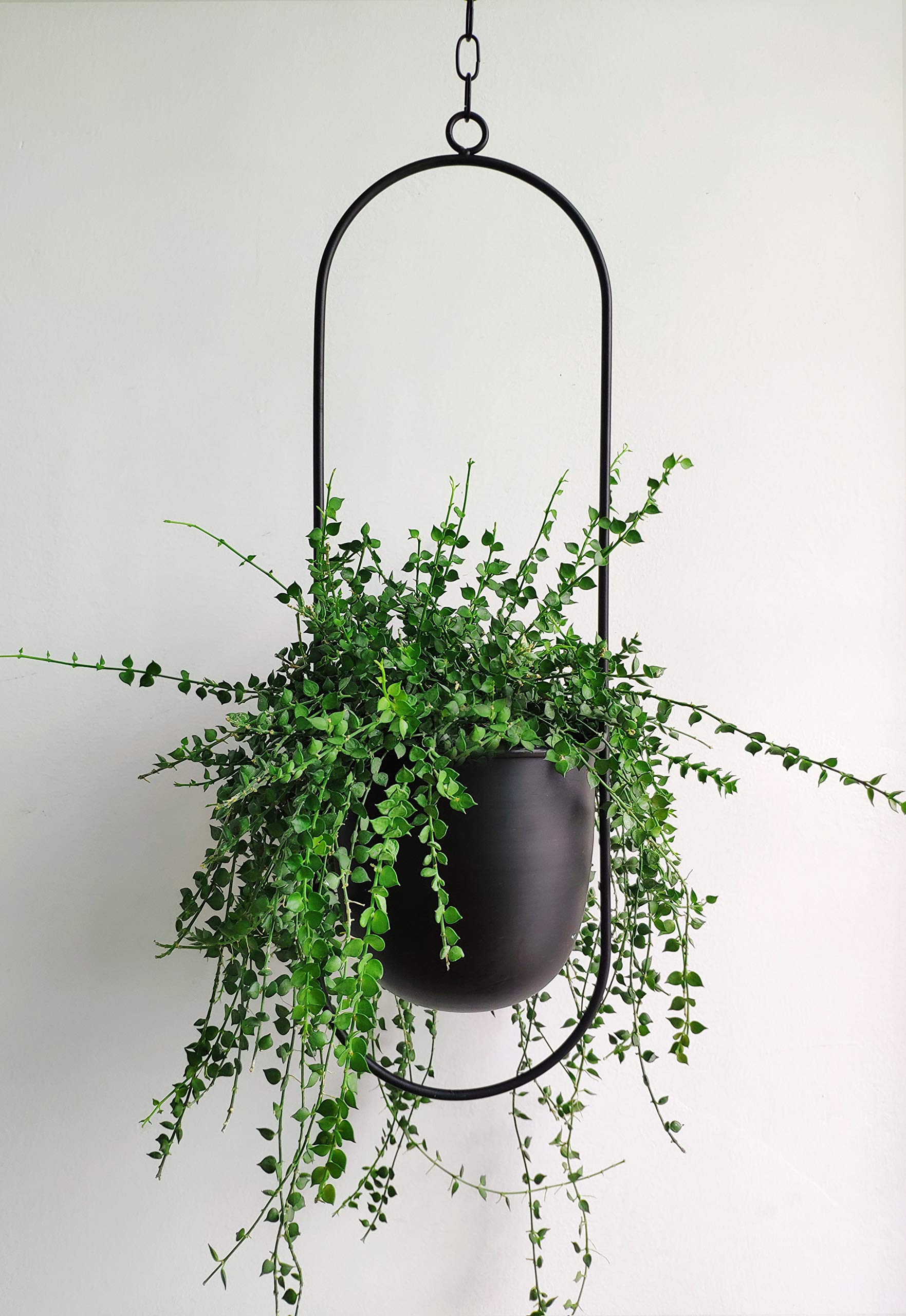 RISEON front view of black metal hanging planter showing structure and balance