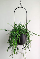 RISEON front view of black metal hanging planter showing structure and balance