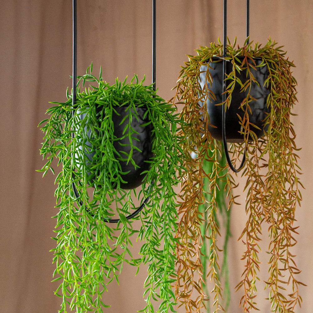 RISEON chain and hook detail showing secure hanging hardware and versatility