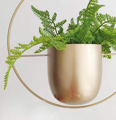 RISEON planter hanging with trailing plant showing vertical display benefit