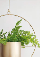 RISEON planter beside a book for scale showing 5.5-inch pot mouth fit