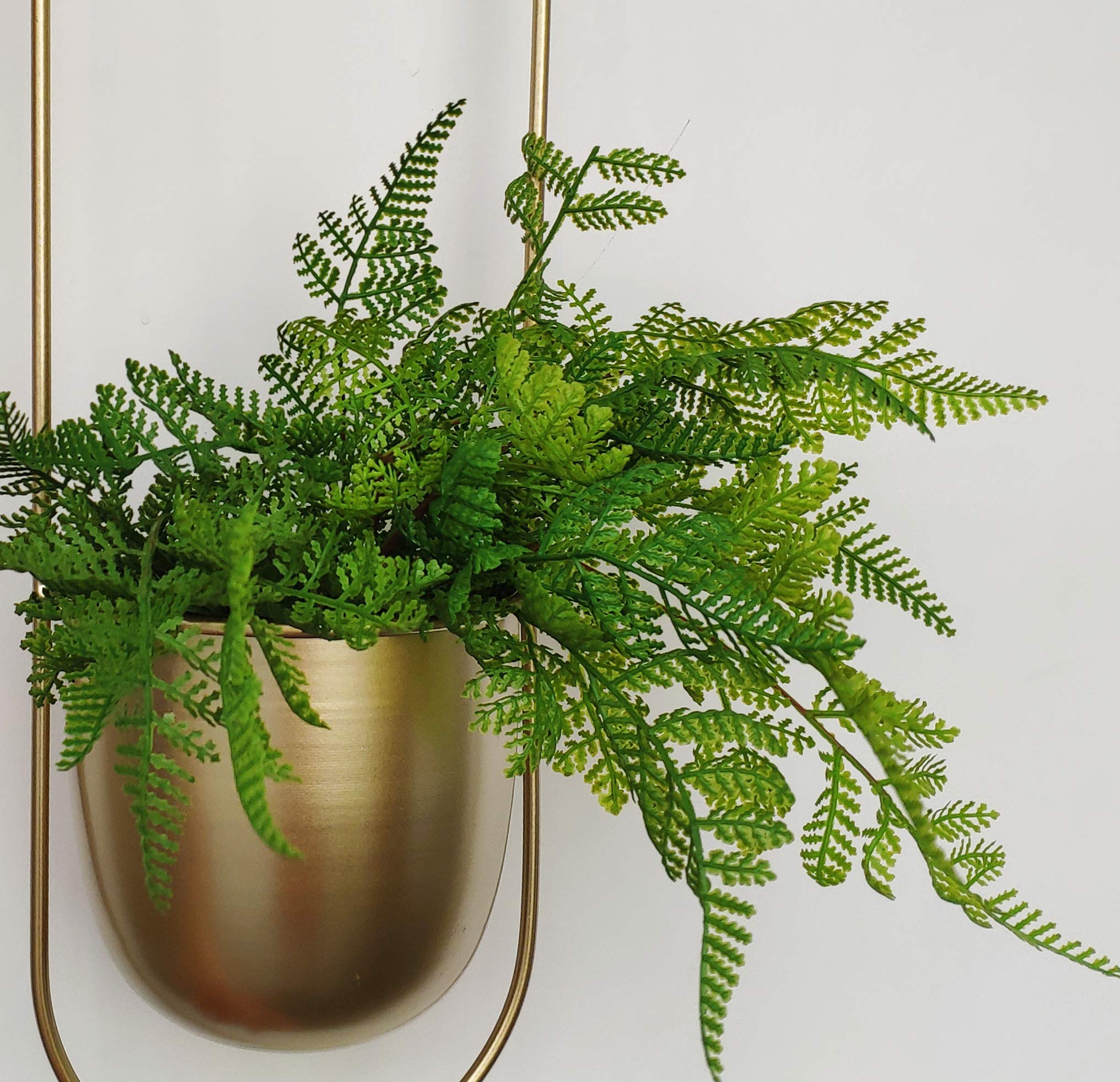 RISEON planter in use with trailing plant adding vertical greenery and decor benefit