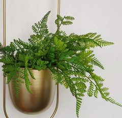RISEON planter in use with trailing plant adding vertical greenery and decor benefit