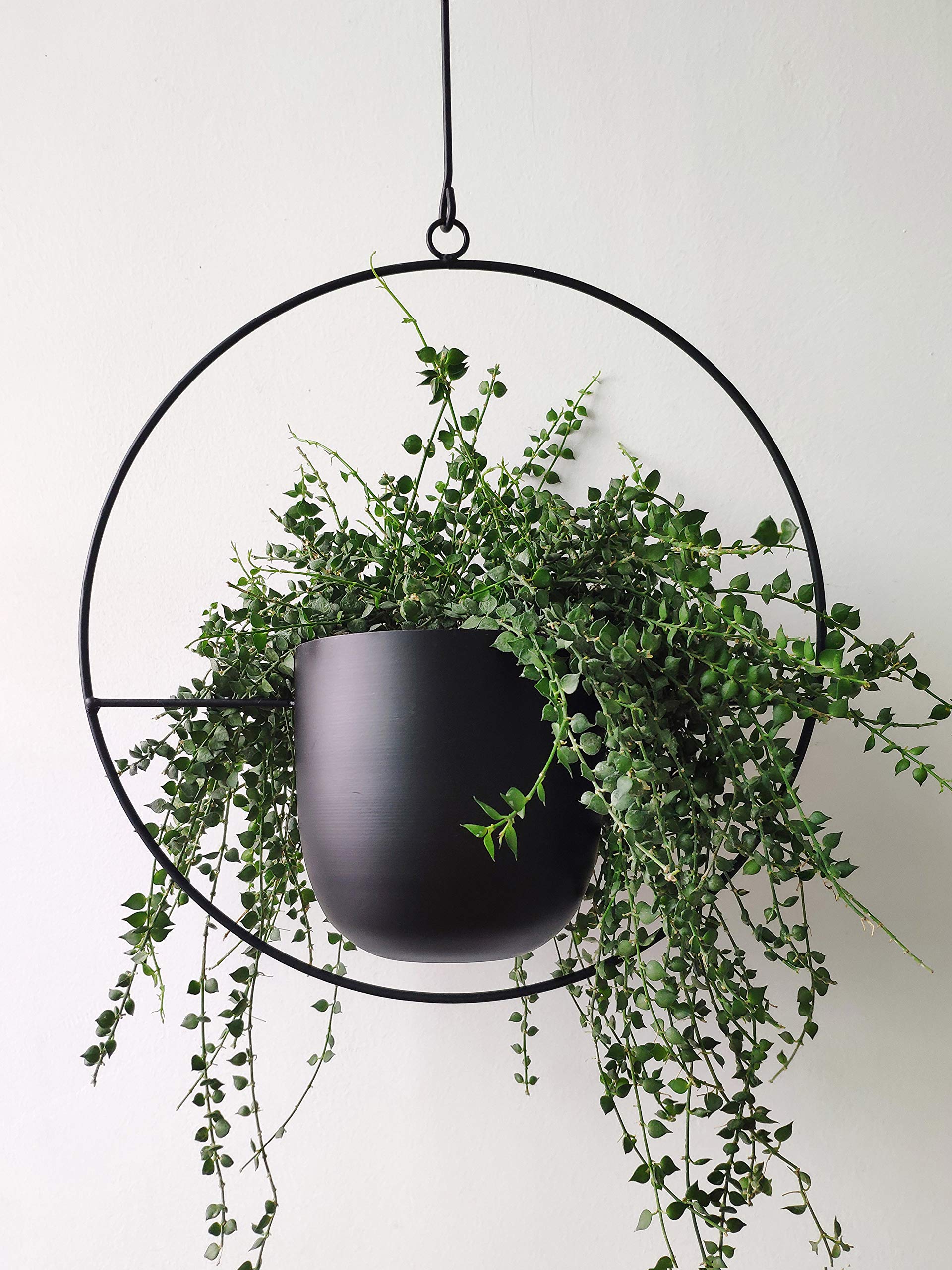 RISEON front view of black hanging planter showing minimalist silhouette and strong support