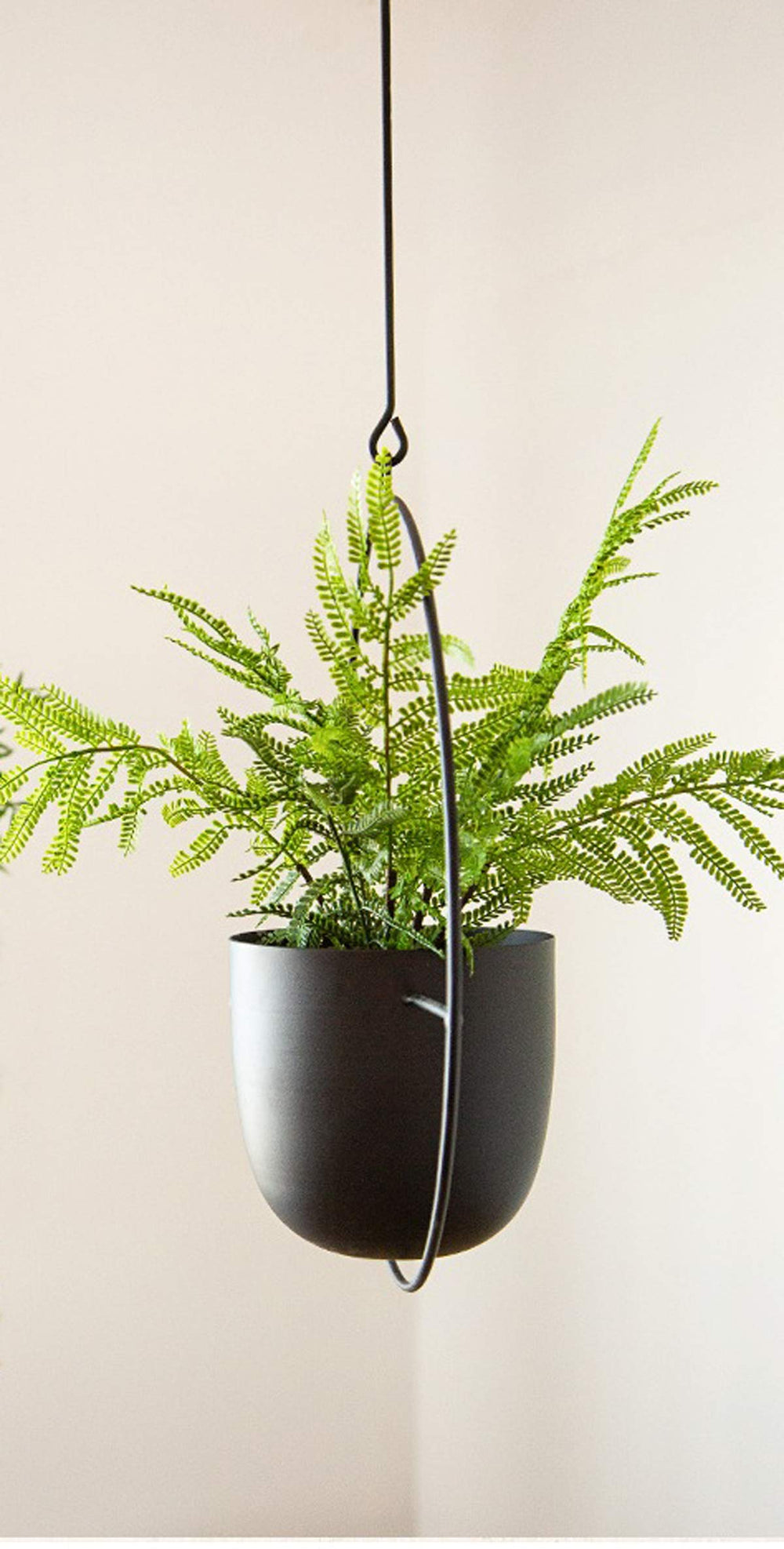 RISEON pot opening and dimensions showing 5.5-inch mouth for compact plants