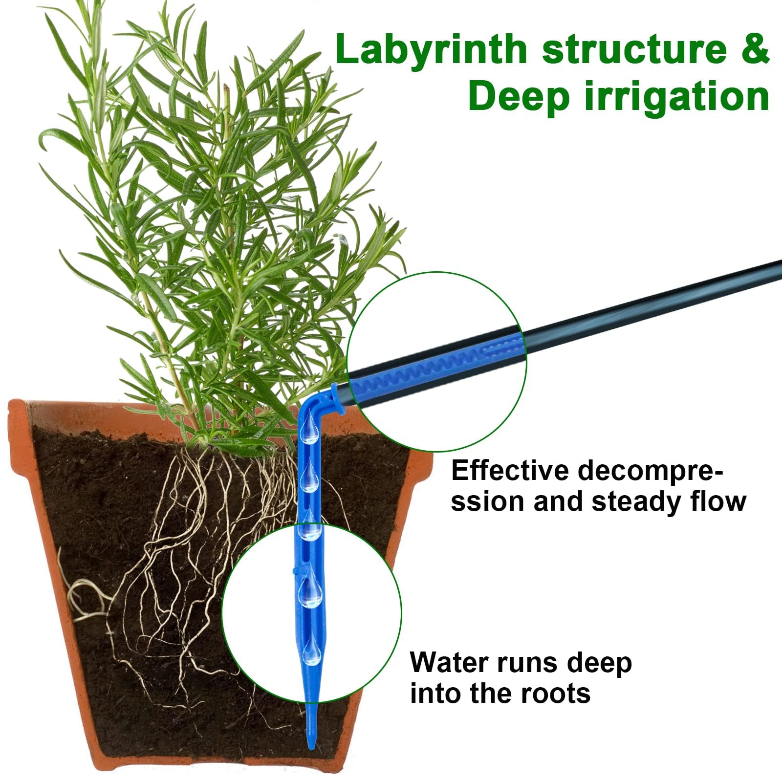 RISINGUP dripper detail in pot ensuring even moisture delivery