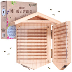 Rivajam front packaging showing bee house and benefits