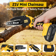 Rivlox two 2000mAh batteries with 2A charger showing quick recharge benefit