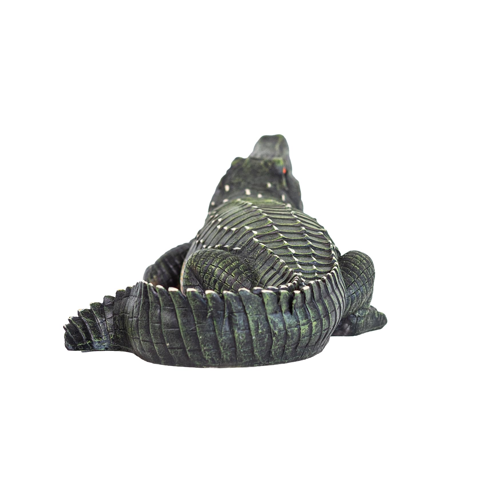 RKGOMDMU crocodile staged in garden setting adding wild-life charm and focus