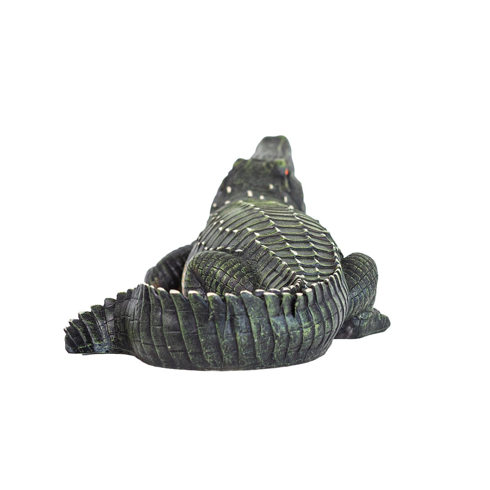 RKGOMDMU crocodile staged in garden setting adding wild-life charm and focus