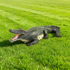 RKGOMDMU crocodile placed poolside creating playful, eye-catching decoration