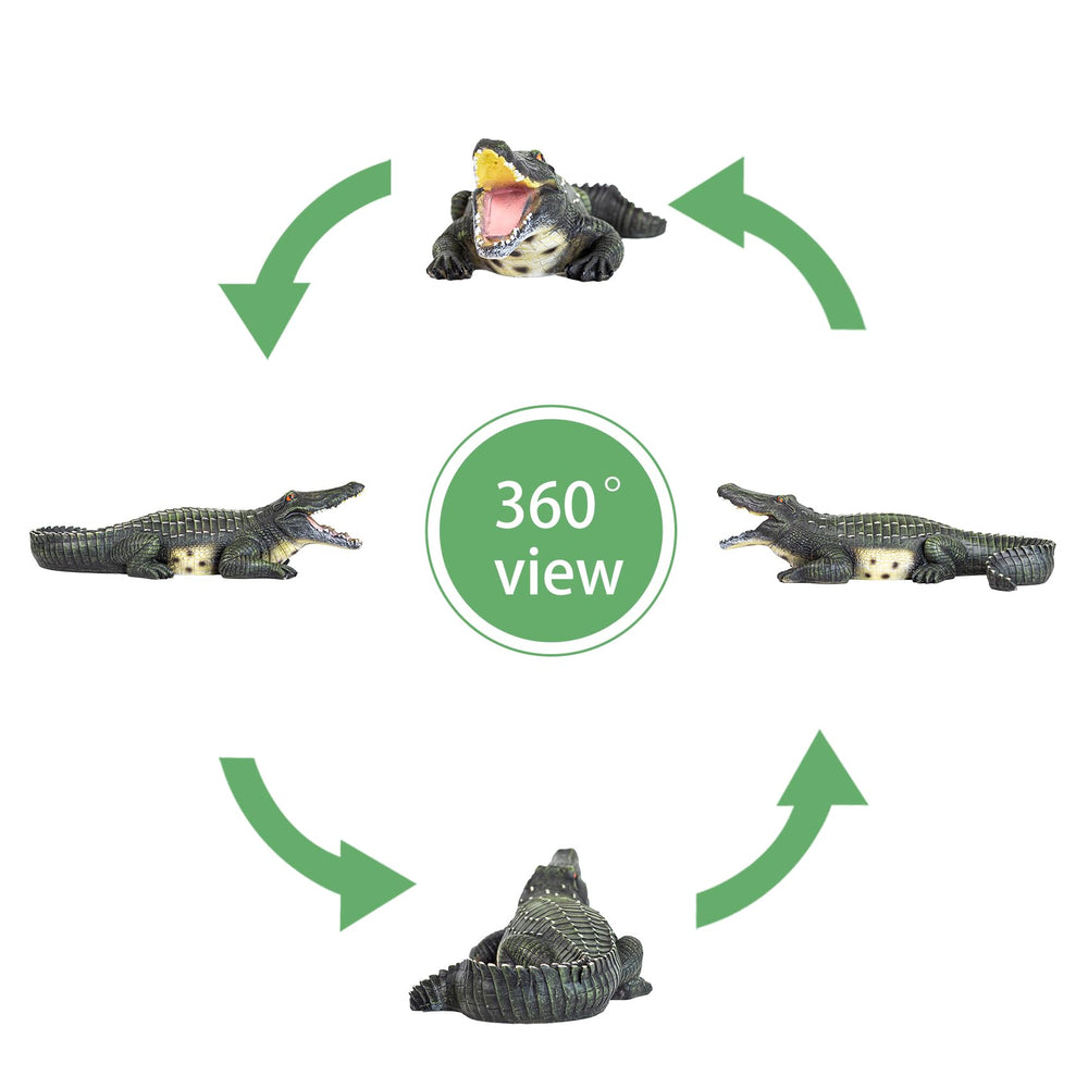 RKGOMDMU crocodile next to a hand for size comparison and easy placement