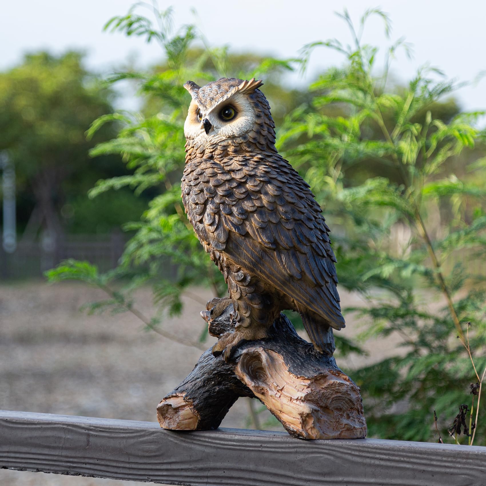 RKGOMDMU owl front view showing realistic look and decorative benefit