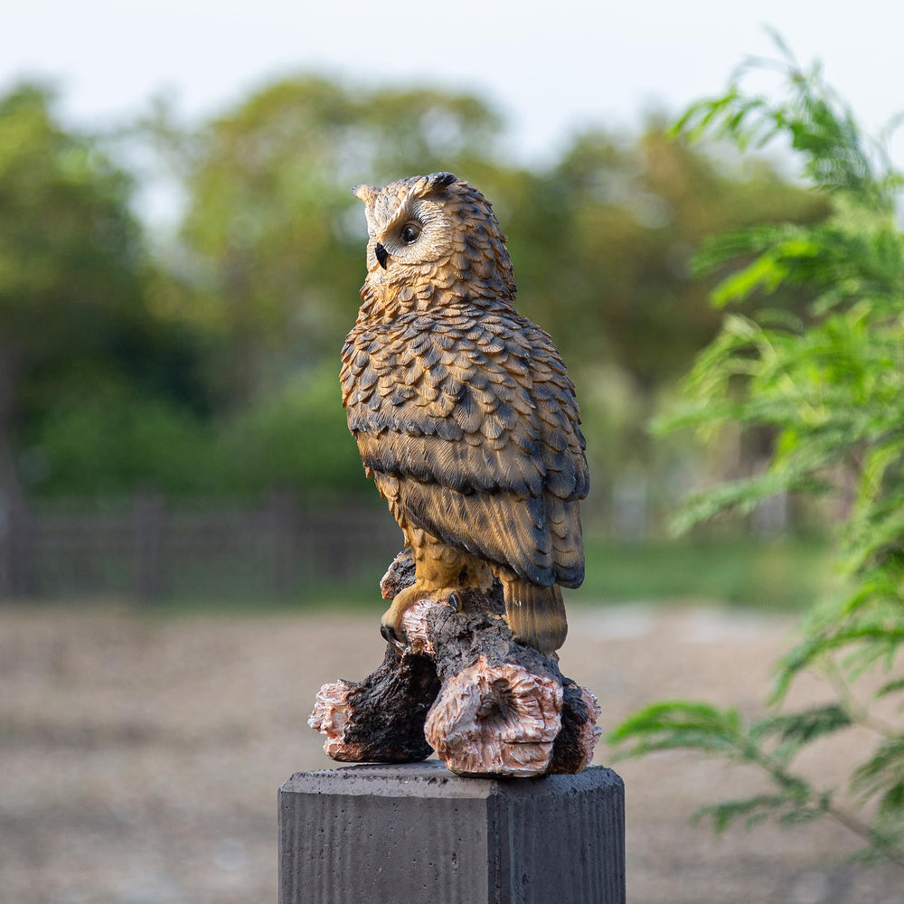 RKGOMDMU owl on porch display adding rustic charm to entryway decor