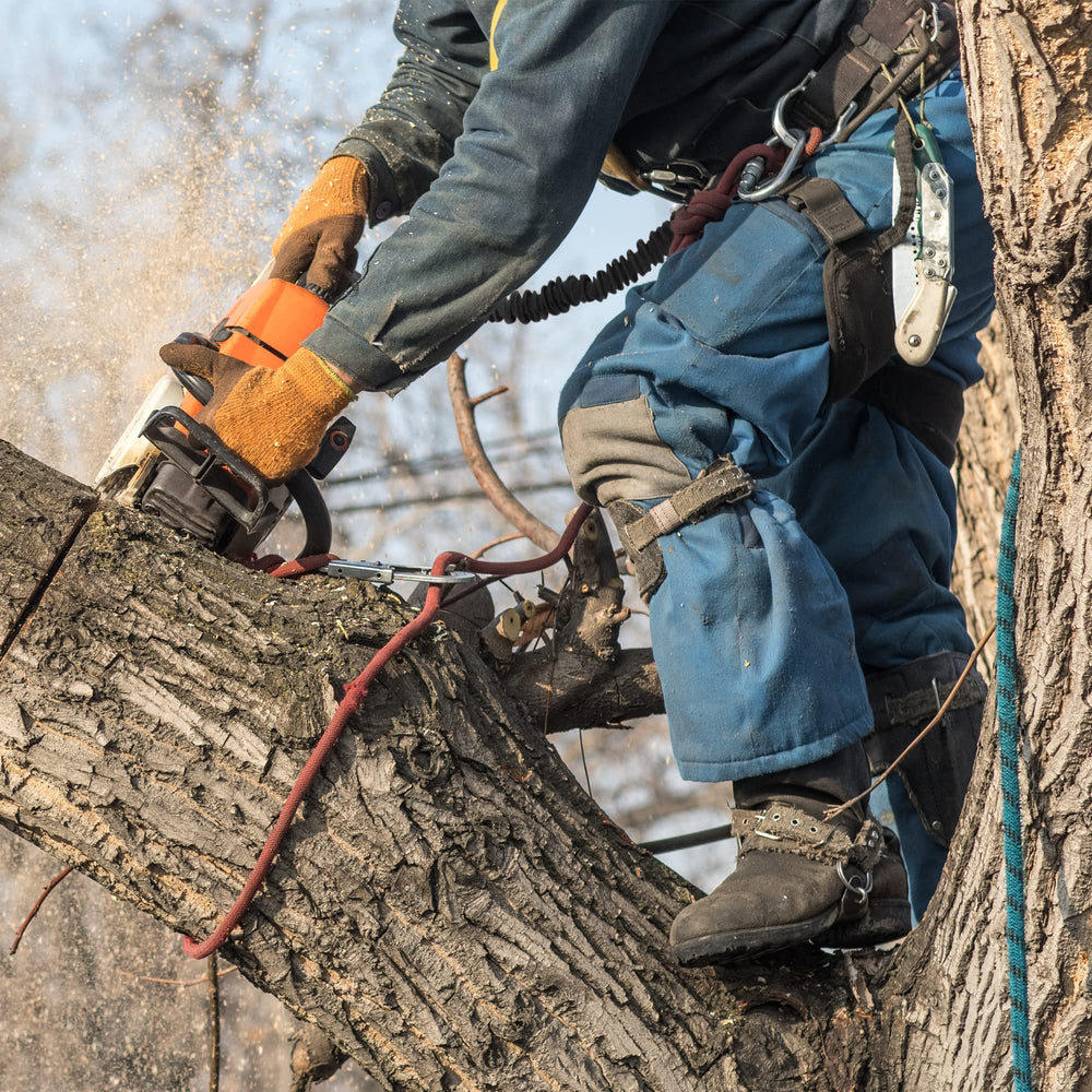 RNA Raider in use by arborist securing chainsaw to harness, preventing dropped tools