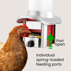 Roamwild feeder with lid open for easy refill and quick access