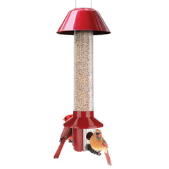 Roamwild red feeder front view showing bright color and capacity benefit